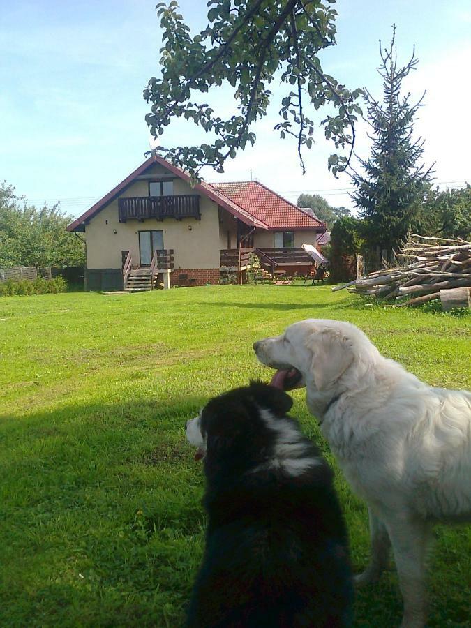 Agroturystyka Sielana Kostrzyca Zewnętrze zdjęcie